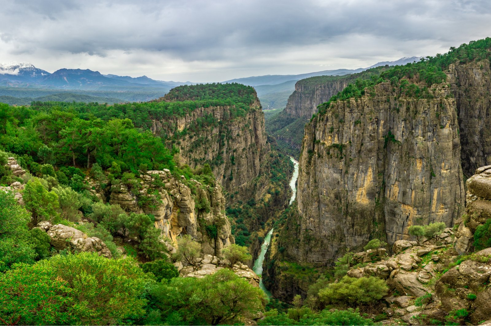Каньон Тазы