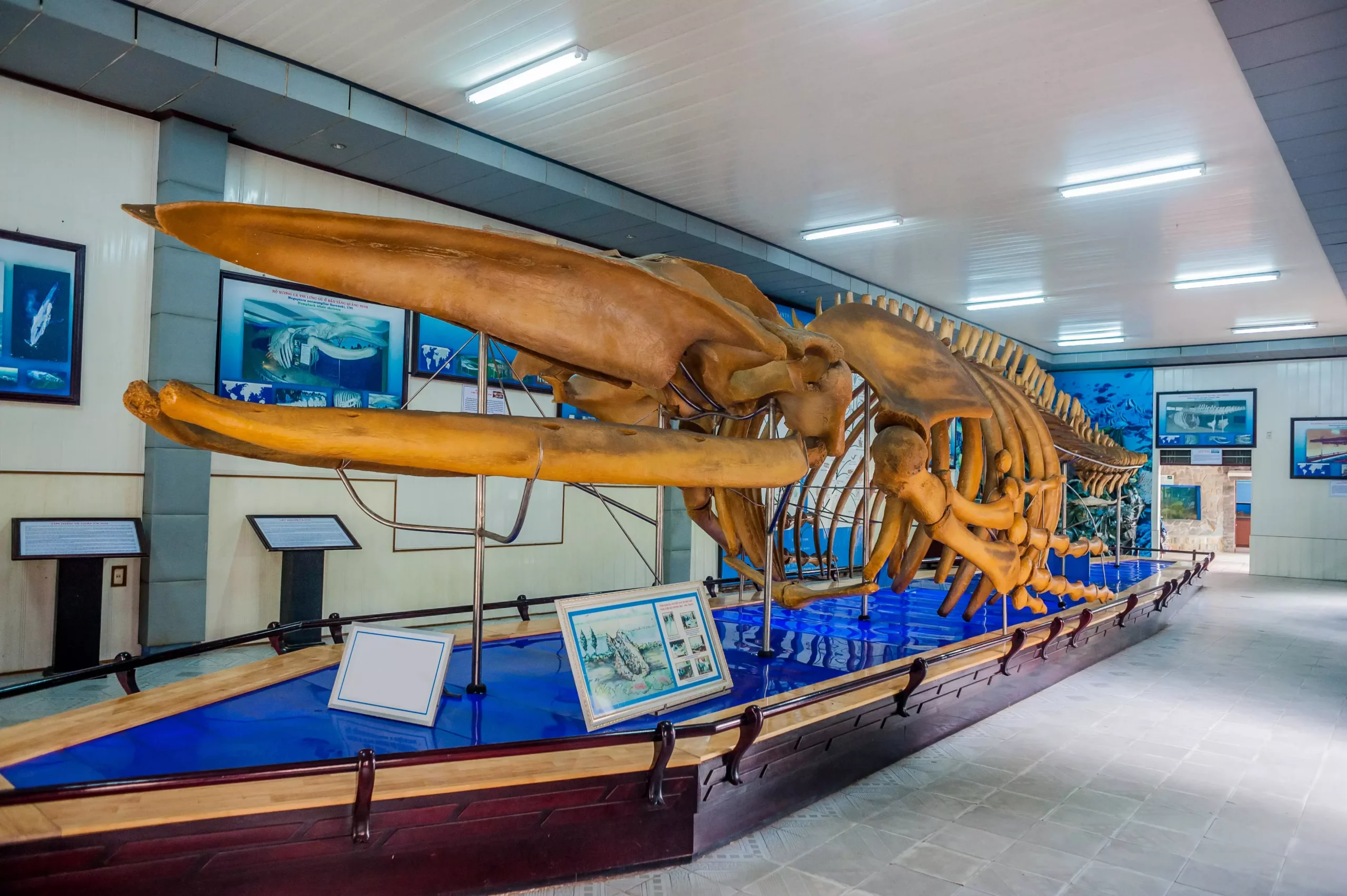Музей океанографии (Museum of Oceanography) в Нячанге