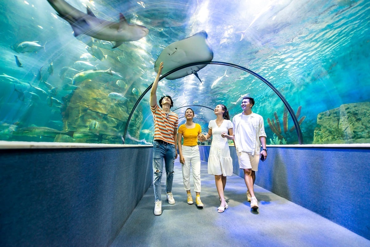 Vinpearl Aquarium