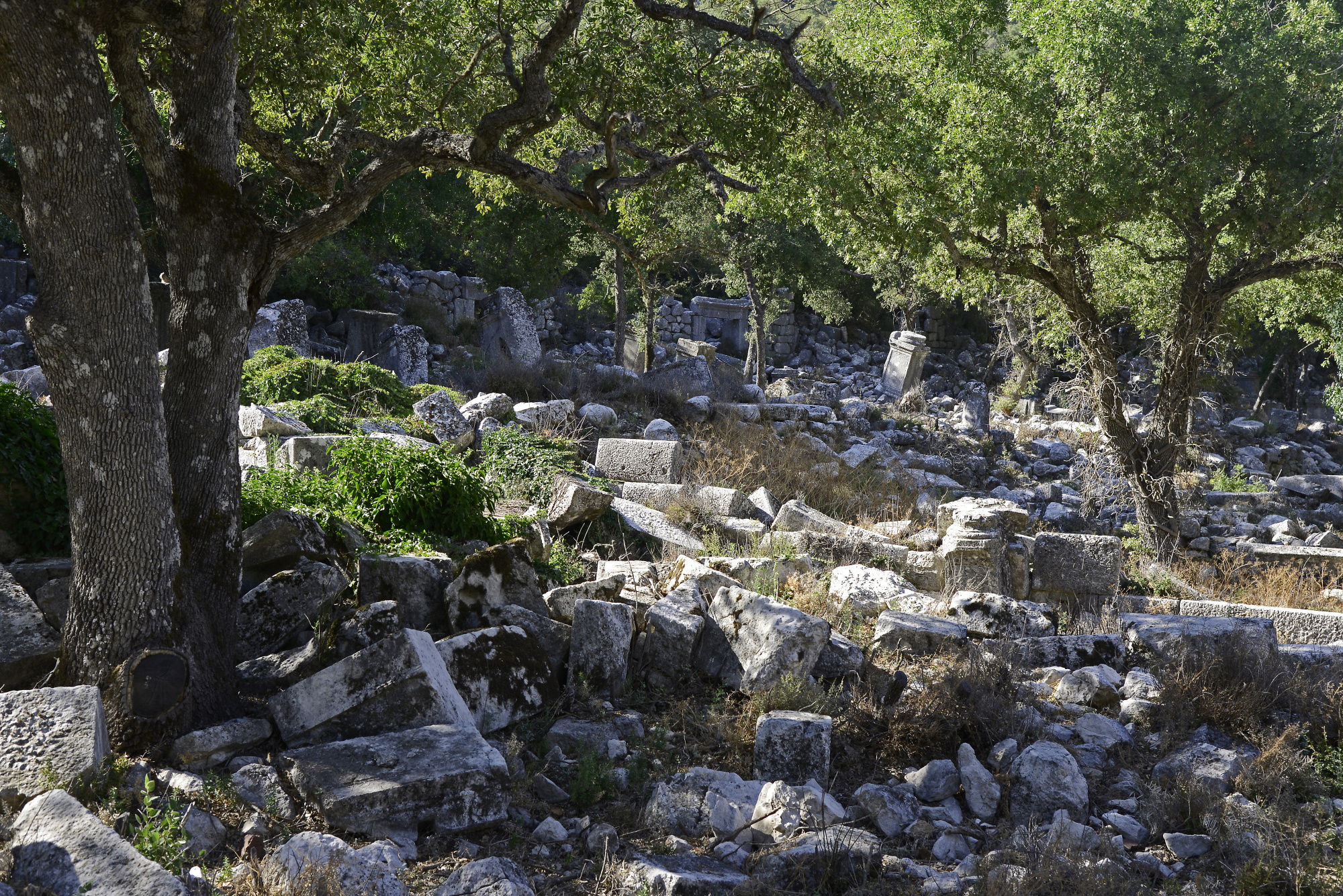 Агора в Термессосе